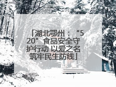 湖北鄂州：“520”食品安全守护行动 以爱之名筑牢民生防线