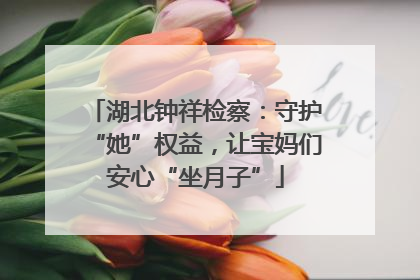 湖北钟祥检察：守护“她”权益，让宝妈们安心“坐月子”