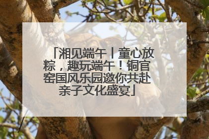 湘见端午丨童心放粽，趣玩端午！铜官窑国风乐园邀你共赴亲子文化盛宴