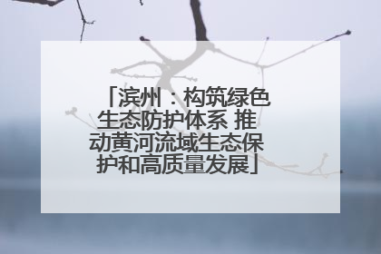 滨州：构筑绿色生态防护体系 推动黄河流域生态保护和高质量发展