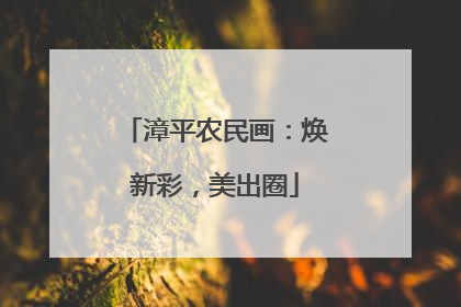 漳平农民画：焕新彩，美出圈