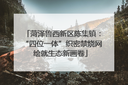 菏泽鲁西新区陈集镇：“四位一体”织密禁烧网 绘就生态新画卷
