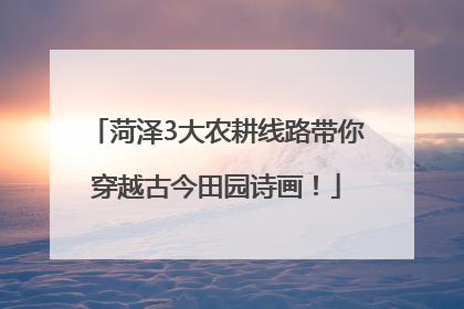 菏泽3大农耕线路带你穿越古今田园诗画！
