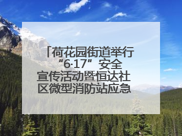 荷花园街道举行“6·17”安全宣传活动暨恒达社区微型消防站应急小分队启动式