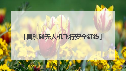莫触碰无人机飞行安全红线