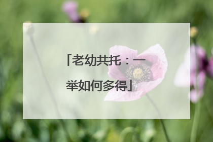 老幼共托：一举如何多得