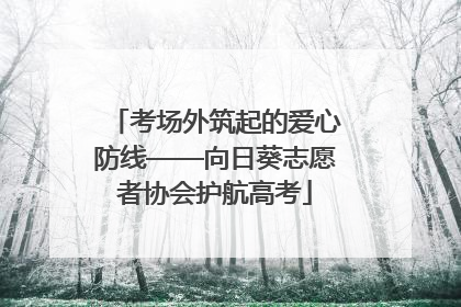 考场外筑起的爱心防线——向日葵志愿者协会护航高考
