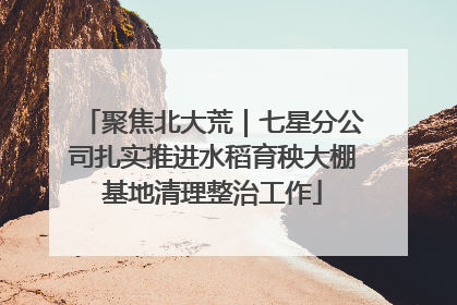 聚焦北大荒｜七星分公司扎实推进水稻育秧大棚基地清理整治工作