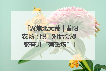 聚焦北大荒｜普阳农场：职工对话会凝聚奋进“强磁场”