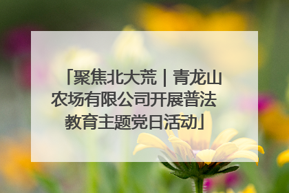 聚焦北大荒｜青龙山农场有限公司开展普法教育主题党日活动