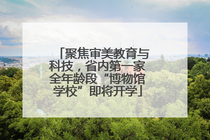 聚焦审美教育与科技，省内第一家全年龄段“博物馆学校”即将开学