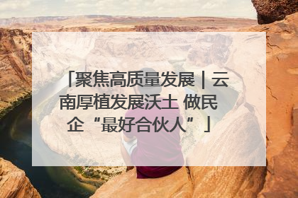 聚焦高质量发展｜云南厚植发展沃土 做民企“最好合伙人”