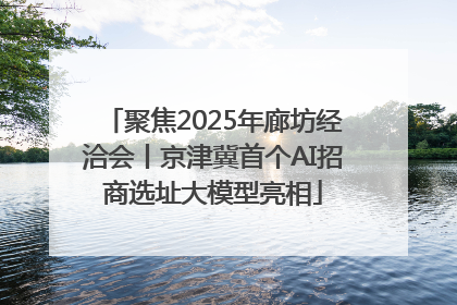 聚焦2025年廊坊经洽会丨京津冀首个AI招商选址大模型亮相
