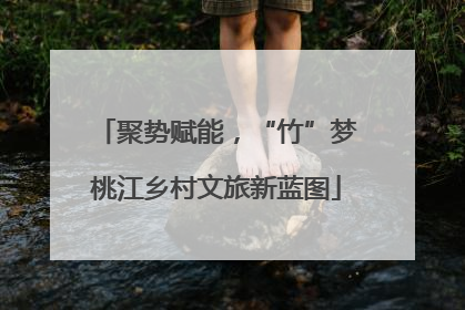 聚势赋能，“竹”梦桃江乡村文旅新蓝图