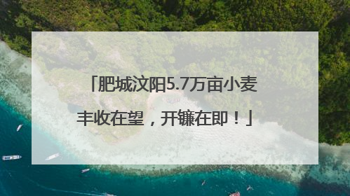 肥城汶阳5.7万亩小麦丰收在望，开镰在即！