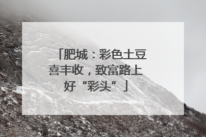 肥城：彩色土豆喜丰收，致富路上好“彩头”