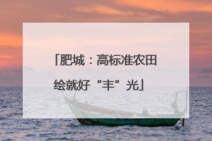 肥城：高标准农田绘就好“丰”光
