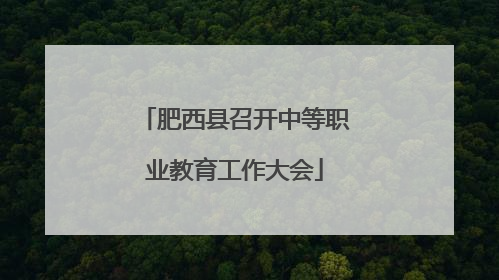 肥西县召开中等职业教育工作大会