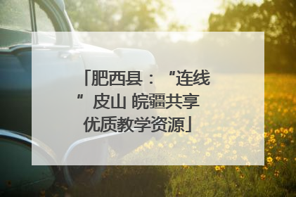 肥西县：“连线”皮山 皖疆共享优质教学资源