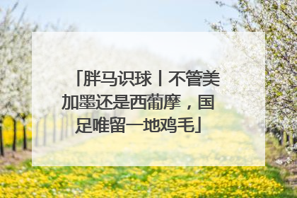 胖马识球丨不管美加墨还是西葡摩，国足唯留一地鸡毛