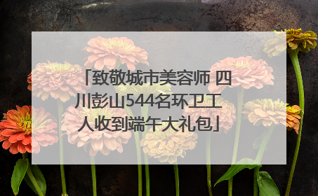 致敬城市美容师 四川彭山544名环卫工人收到端午大礼包