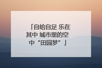 自给自足 乐在其中 城市里的空中“田园梦”