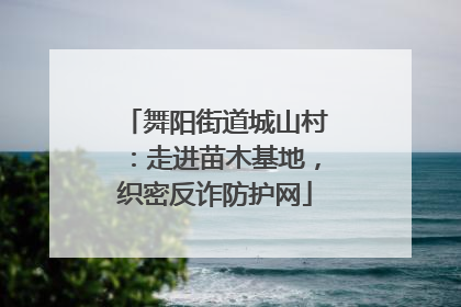 舞阳街道城山村：走进苗木基地，织密反诈防护网