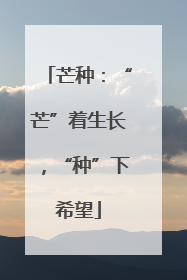 芒种：“芒”着生长，“种”下希望