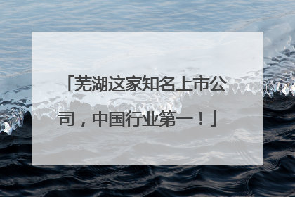 芜湖这家知名上市公司，中国行业第一！