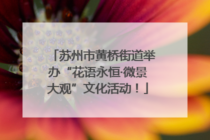 苏州市黄桥街道举办“花语永恒·微景大观”文化活动！