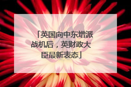 英国向中东增派战机后，英财政大臣最新表态