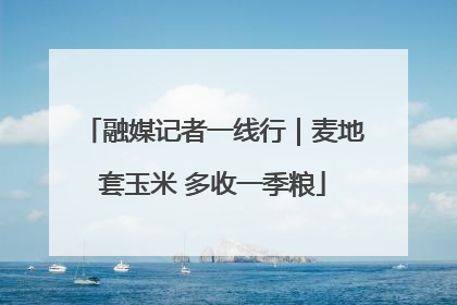 融媒记者一线行｜麦地套玉米 多收一季粮