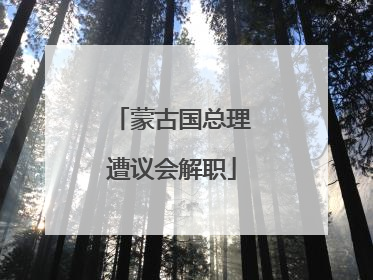 蒙古国总理遭议会解职