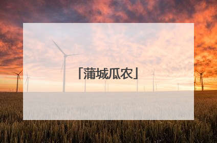 蒲城瓜农