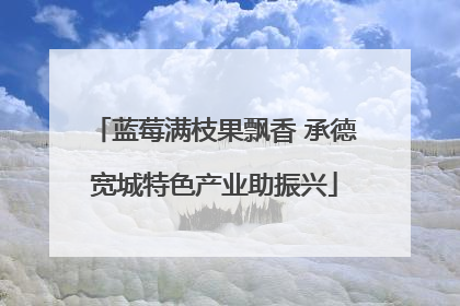 蓝莓满枝果飘香 承德宽城特色产业助振兴