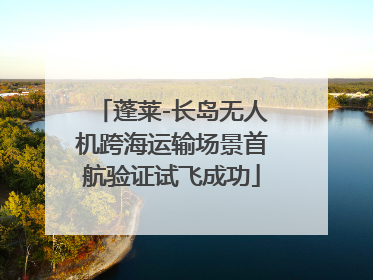 蓬莱-长岛无人机跨海运输场景首航验证试飞成功