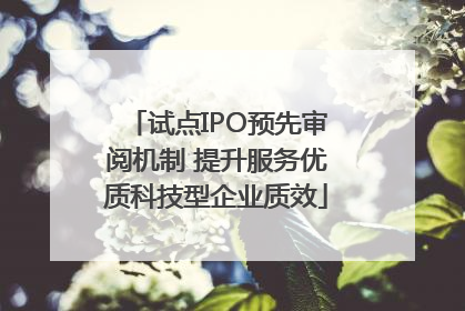 试点IPO预先审阅机制 提升服务优质科技型企业质效