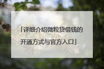 详细介绍微粒贷借钱的开通方式与官方入口