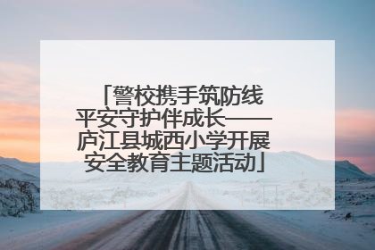 警校携手筑防线 平安守护伴成长——庐江县城西小学开展安全教育主题活动