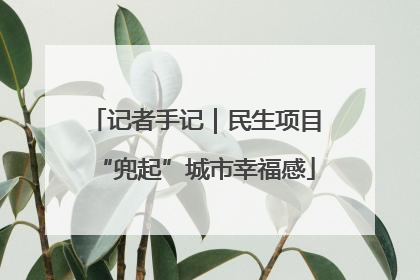 记者手记｜民生项目“兜起”城市幸福感