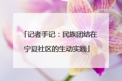 记者手记：民族团结在宁夏社区的生动实践
