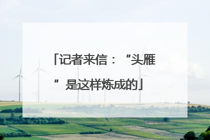 记者来信：“头雁”是这样炼成的