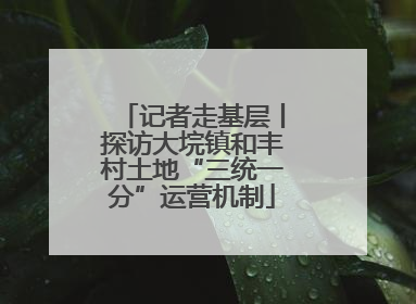 记者走基层丨探访大垸镇和丰村土地“三统一分”运营机制