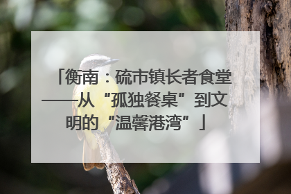 衡南：硫市镇长者食堂——从“孤独餐桌”到文明的“温馨港湾”