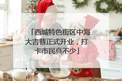 西城特色街区中海大吉巷正式开业，打卡市民真不少