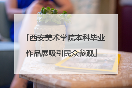 西安美术学院本科毕业作品展吸引民众参观