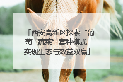 西安高新区探索“葡萄+蔬菜”套种模式 实现生态与效益双赢