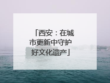 西安：在城市更新中守护好文化遗产