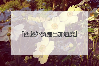 西藏外贸跑出加速度