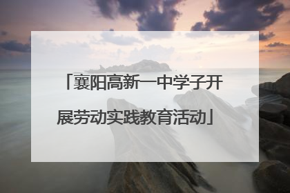 襄阳高新一中学子开展劳动实践教育活动